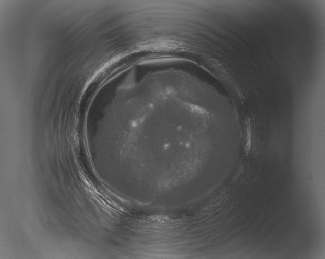 X0000085070392200703261237