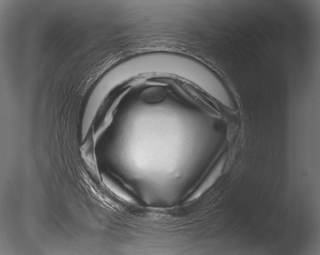 X0000085070393200703261237