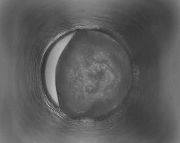 X0000085070395200703261237