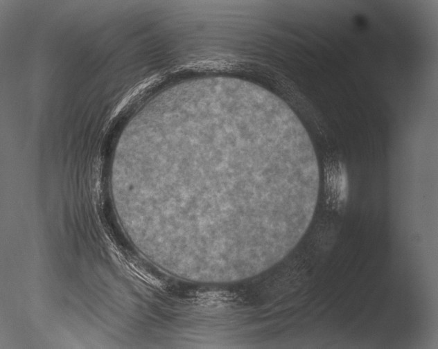 X0000085070396200703261237