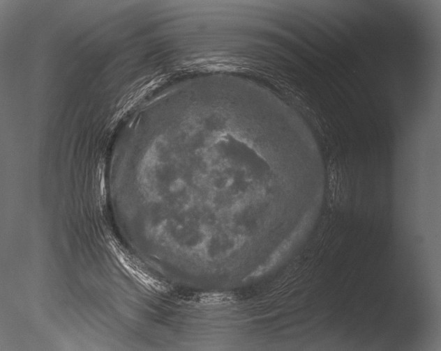 X0000085070398200703261237