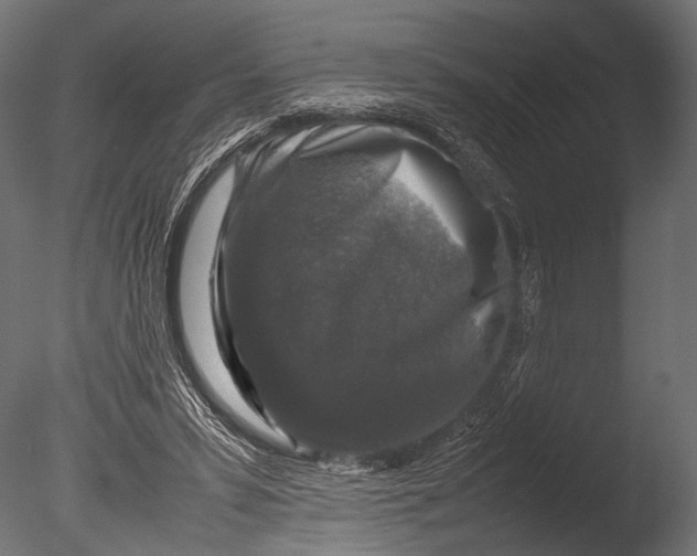 X0000085070399200703261237