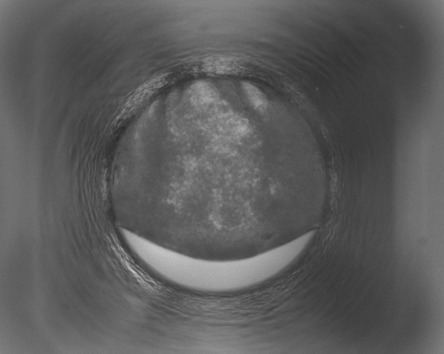 X0000085070401200703261237