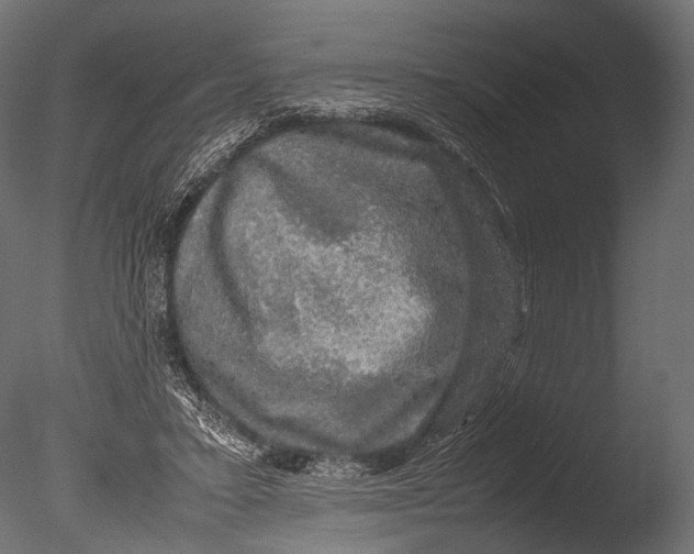 X0000085070403200703261237