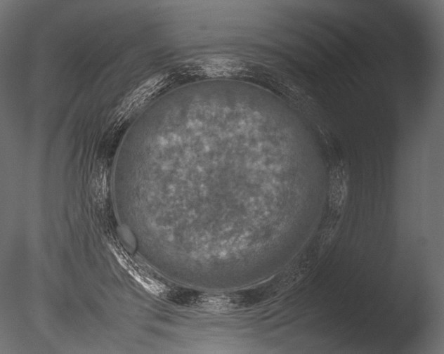 X0000085070405200703261237