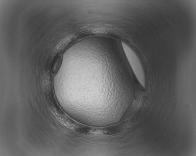 X0000085070407200703261237