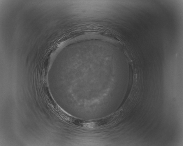 X0000085070411200703261237