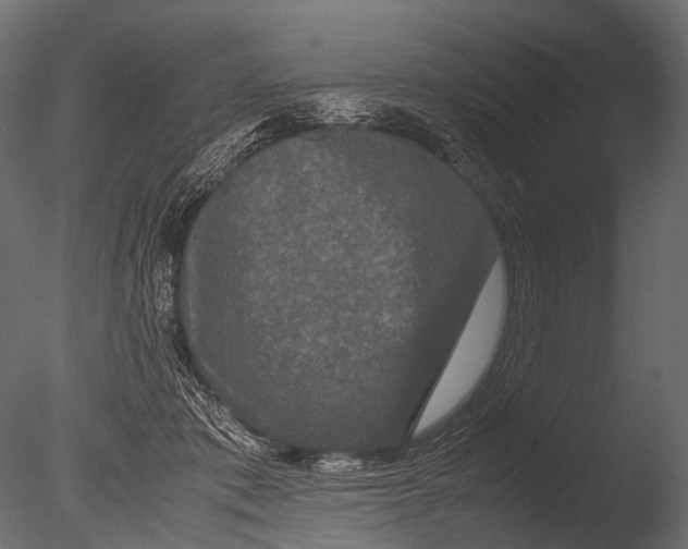 X0000085070413200703261237