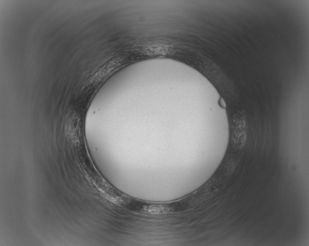 X0000085070414200703261237