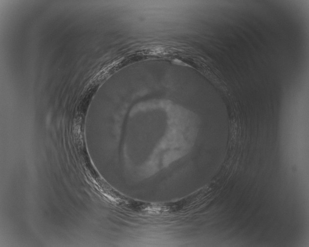 X0000085070415200703261237