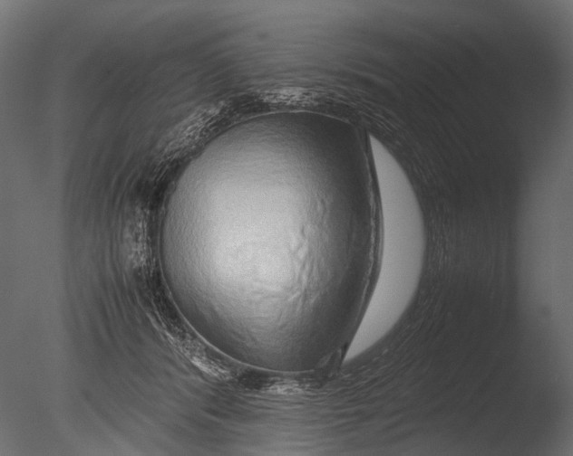 X0000085070416200703261237