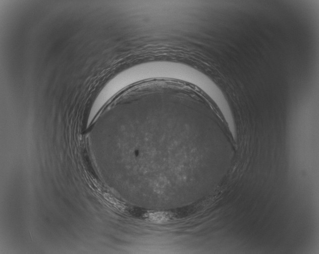 X0000085070417200703261237