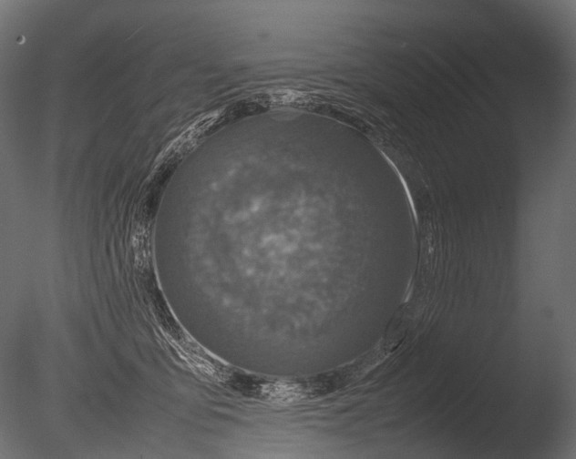 X0000085070419200703261236