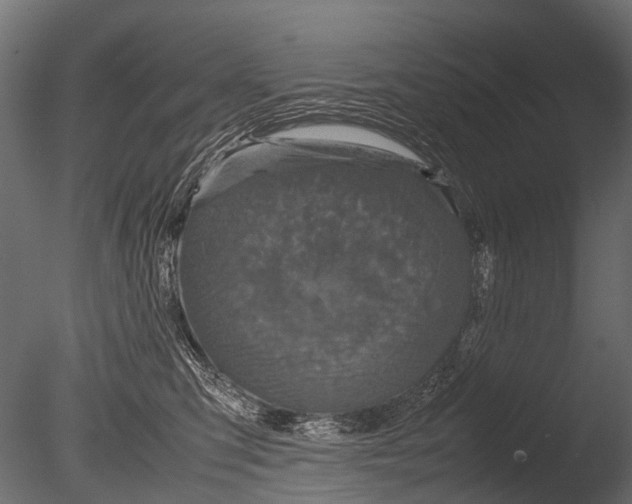 X0000085070423200703261236