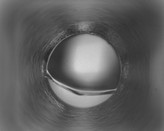 X0000085070424200703261236