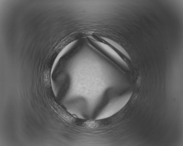 X0000085070425200703261236