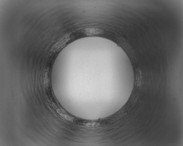 X0000085070426200703261236