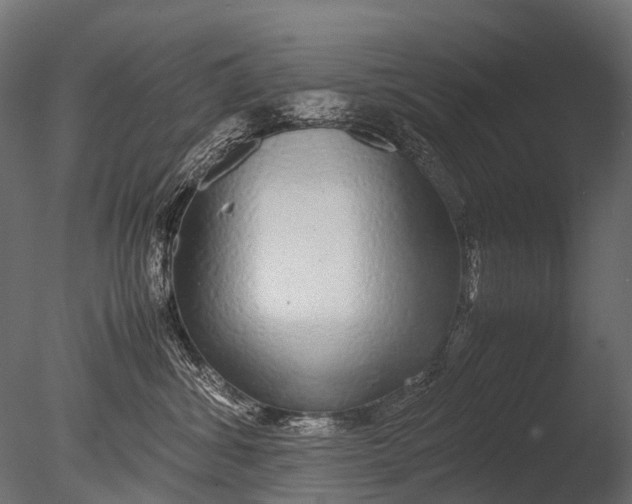 X0000085070428200703261236