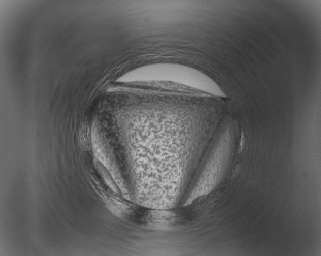 X0000085070429200703261236