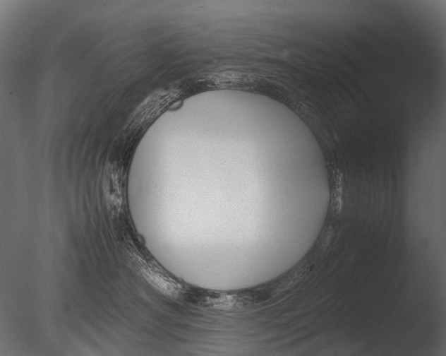 X0000085070430200703261236