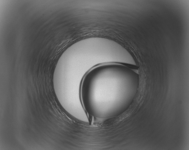 X0000085070432200703261236