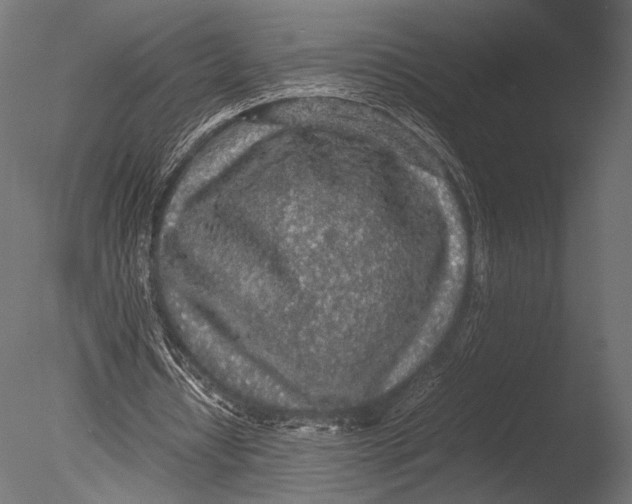 X0000085070434200703261235