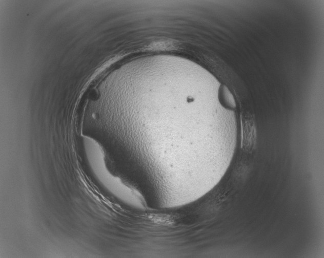 X0000085070435200703261235