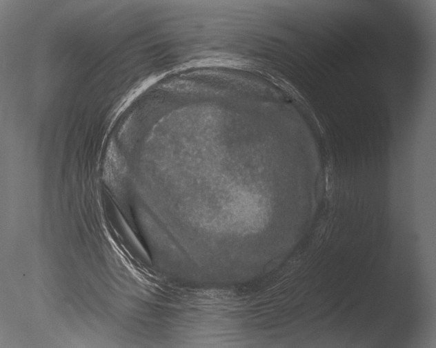 X0000085070436200703261235