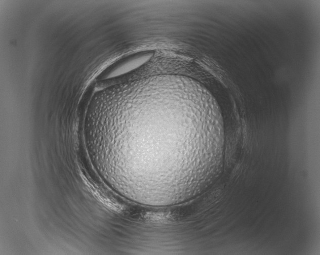 X0000085070440200703261236