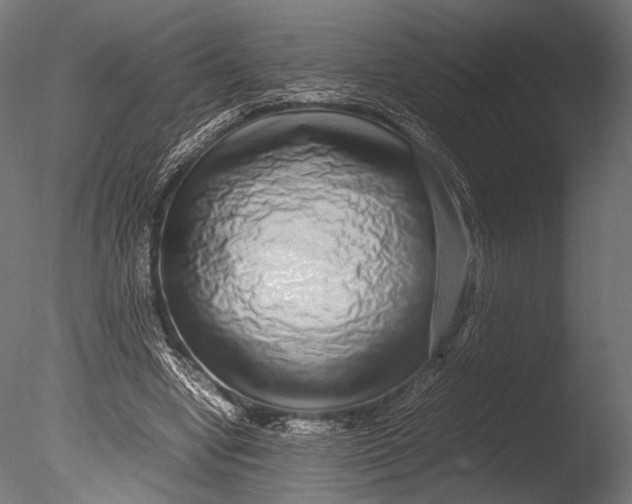 X0000085070442200703261236