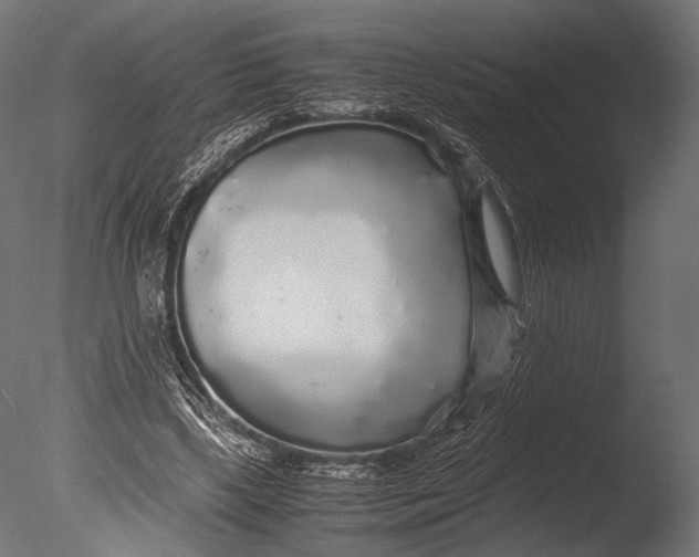 X0000085070443200703261236