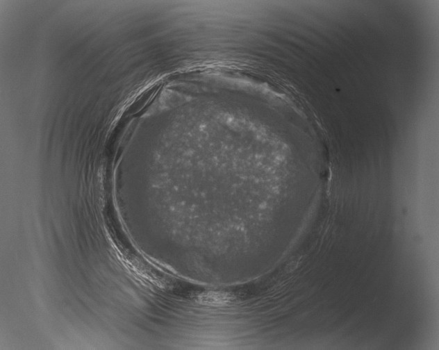 X0000085070444200703261236