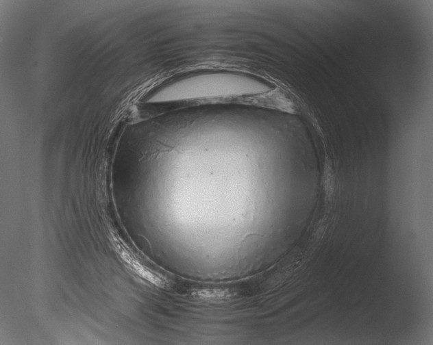 X0000085070445200703261236