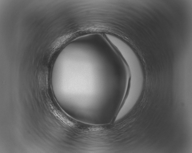 X0000085070446200703261236