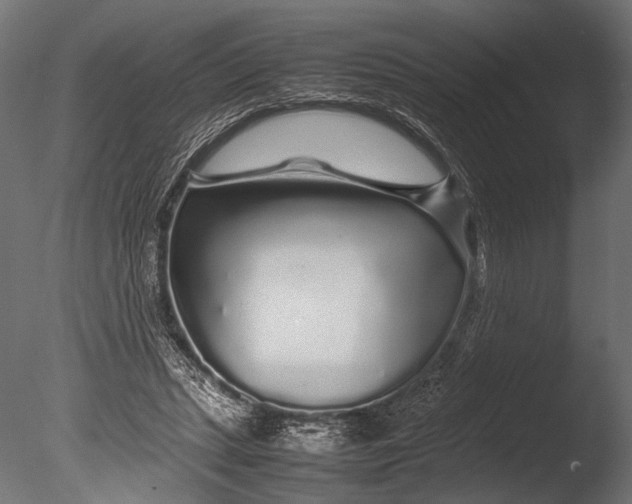 X0000085070447200703261236