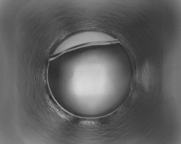 X0000085070449200703261236