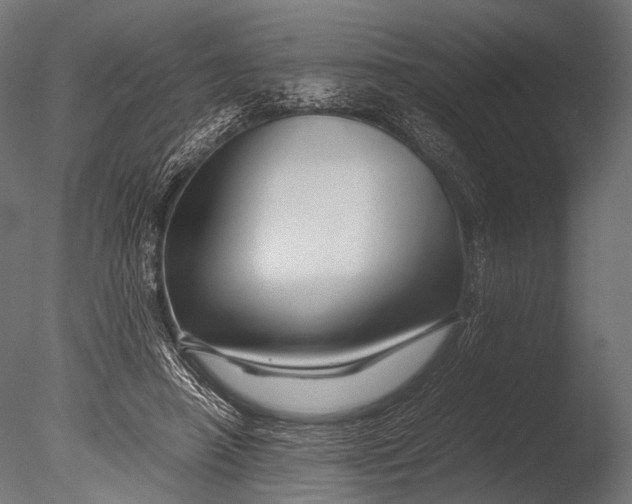 X0000085070450200703261236