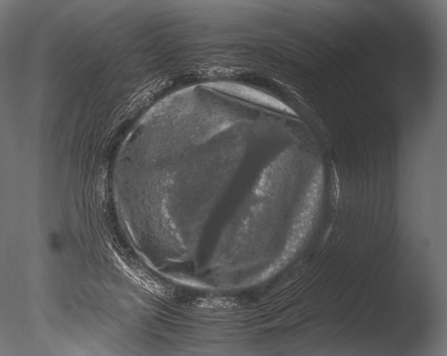 X0000085070451200703261236