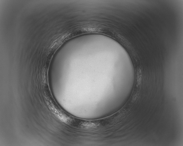 X0000085070453200703261236