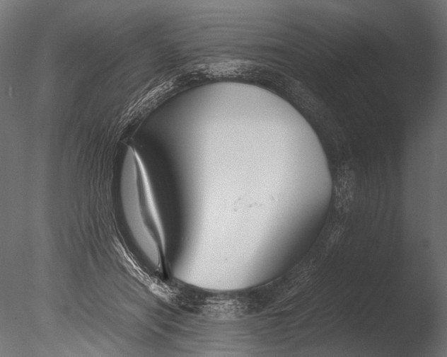 X0000085070454200703261236