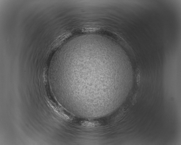 X0000085070455200703261236