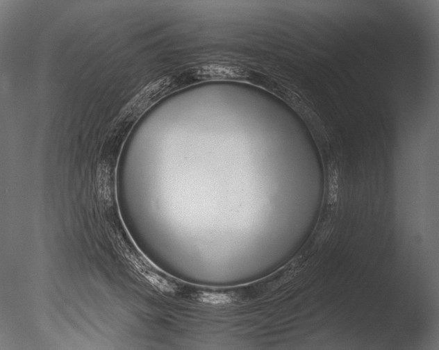 X0000085070457200703261236