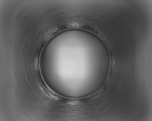 X0000085070459200703261236