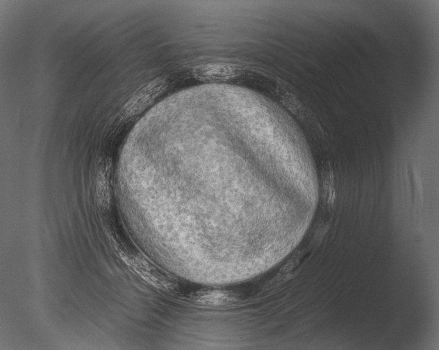 X0000085070460200703261236