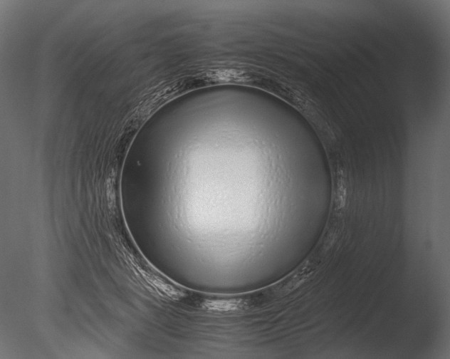 X0000085070461200703261236