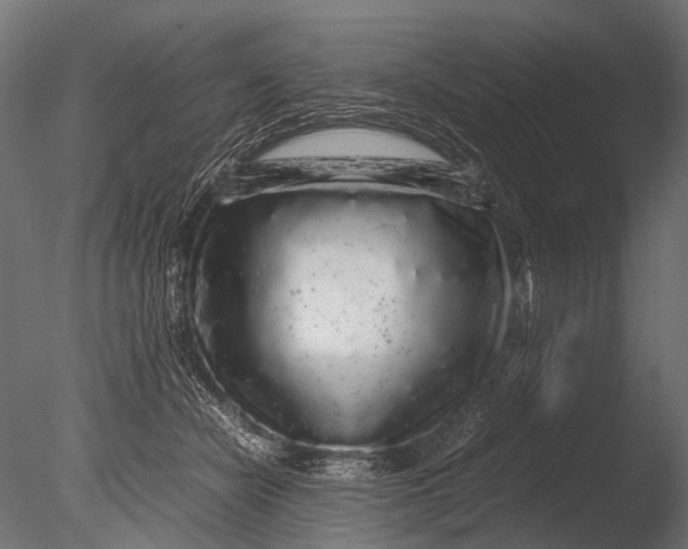 X0000085070462200703261236