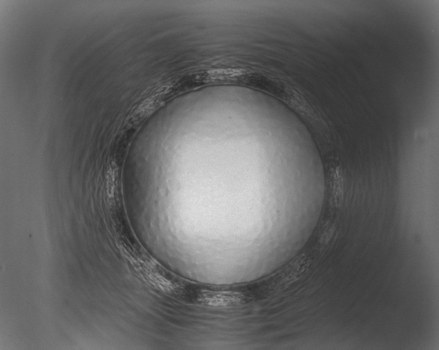 X0000085070463200703261236