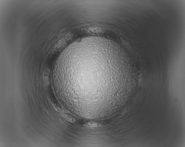 X0000085070464200703261236