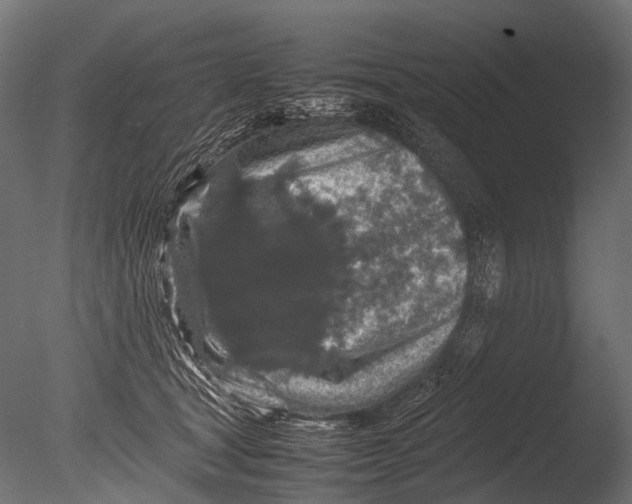 X0000085070465200703261236