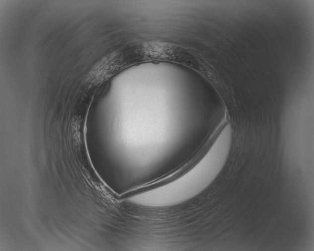 X0000085070466200703261236